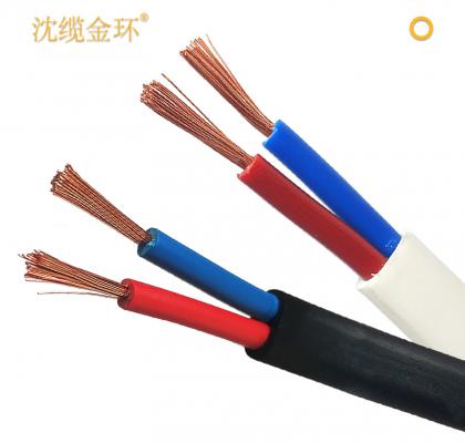 沈缆金环 2芯 ZR-RVV 1.0mm?-6mm?  聚氯乙烯绝缘聚氯乙烯护套软电缆  白色、黑色